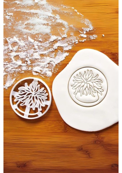 Deniz Bitki Kurabiye Kalıbı, Hamur Şekillendirici