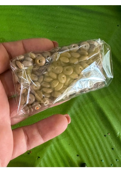 05 cm 20 gr Delikli Ahşap Takı Boncuğu