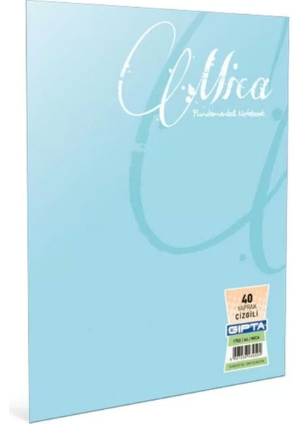 Ofset Mica Plastik Kapak Defter A5 Kareli 60 Yaprak (2479)