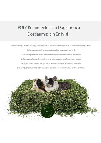 Doğal Kuru Yonca Kemirgen Tavşan-Hamster-Ginepig Otu 2kg Bol Yapraklı %100 Organik Taze Atıştırmalık modelleri