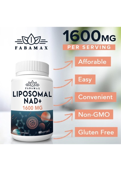 1600 Mg Liposomal Nad 60 Softgels Usa 3538 modelleri