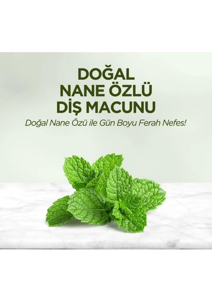 Doğal Nane Özlü Diş Macunu 90 ml 12 Adet