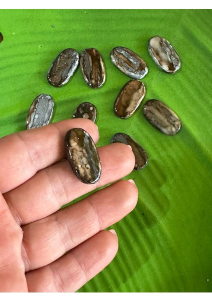 2x1 cm 10 Adet Delikli Akıtma Kemik Kolye Takı Boncuğu