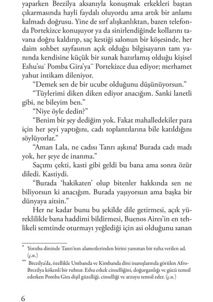 Yangında Kaybettiklerimiz - Mariana Enriquez