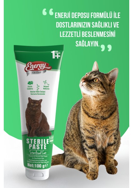 Sterile Paste 100 gr Kısırlaştırılmış Kediler Için Yüksek Içerikli Multivitaminli Malt Macun