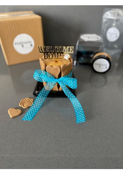 Köpekler Için Evine Hoşgeldin Pastası/ Welcome Home Kit-Mavi