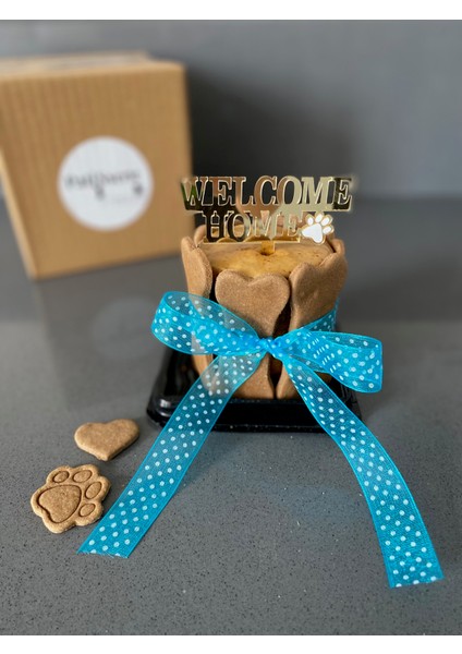Köpekler Için Evine Hoşgeldin Pastası/ Welcome Home Kit-Mavi fiyatları