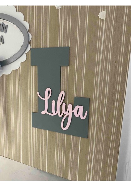 Çocuk ve Bebek Odası Harf Kapı ve Duvar Süsü Pano Isimlik