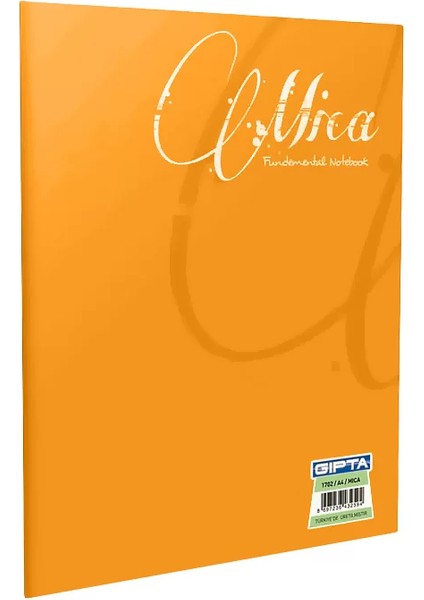 Mica Plastik Kapak Defter A4 Kareli 80 Yaprak 1708