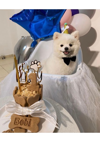 Köpekler Için Doğum Günü Seti-Gold Paw Kit- Doğum Günü Pastası,pati Tasarımlı Süs,doğum Günü Şapkası fiyatları