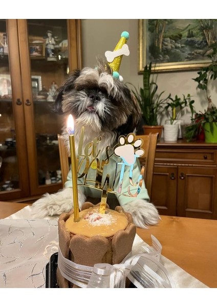 Köpekler Için Doğum Günü Seti-Gold Paw Kit- Doğum Günü Pastası,pati Tasarımlı Süs,doğum Günü Şapkası fırsatları