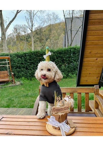 Köpekler Için Doğum Günü Seti-Gold Paw Kit- Doğum Günü Pastası,pati Tasarımlı Süs,doğum Günü Şapkası indirimleri