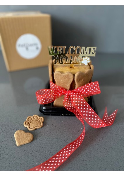 Köpekler Için Evine Hoşgeldin Pastası/ Welcome Home Kit-Kırmızı fiyatları