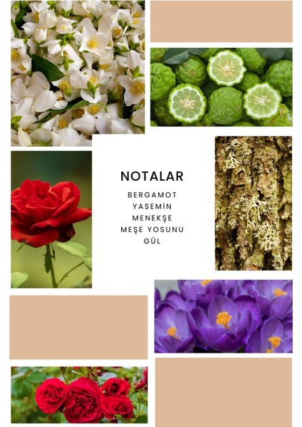 K156 Effect Kadın Parfüm 50 ml EDP modelleri