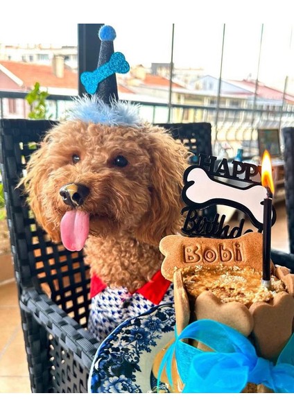 Köpekler Için Doğum Günü Parti Şapkası Siyah Mavi