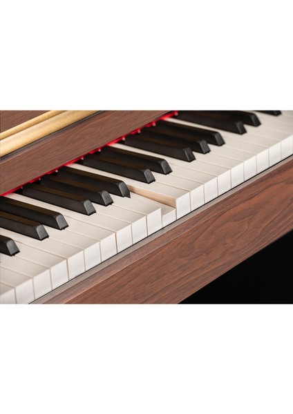 ADP1968R Rosewood Dijital Piyano