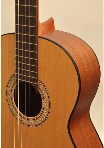 Eco-Ronda Klasik Gitar modelleri