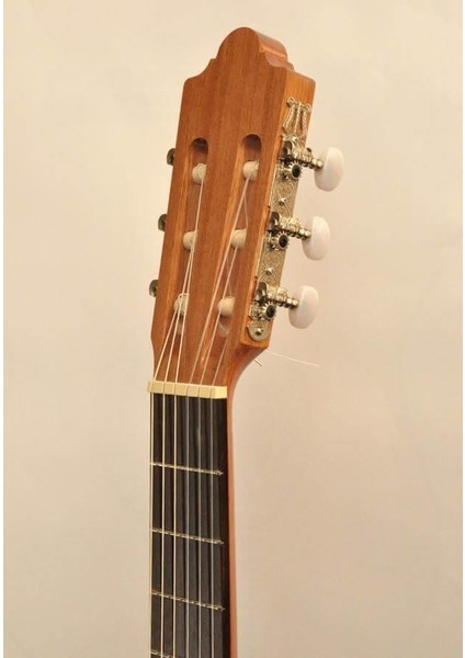 Eco-Ronda Klasik Gitar indirimleri