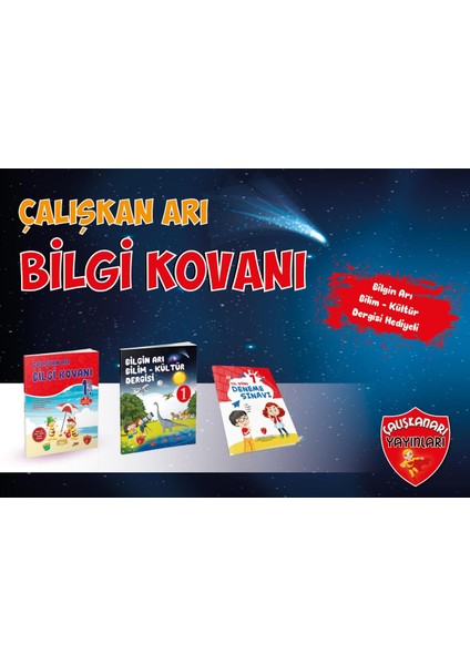 Bilgi Kovanı 1.Sınıf Yaz Tatili Seti