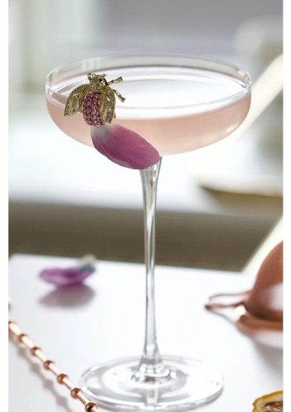 Kristal Savage Kokteyl Bardağı 2'li 220 cc 67296 fiyatları