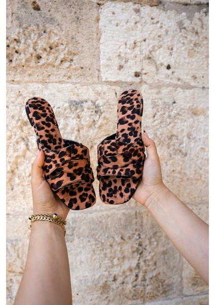 Goldeye Leopar Kadın Terlik fiyatları