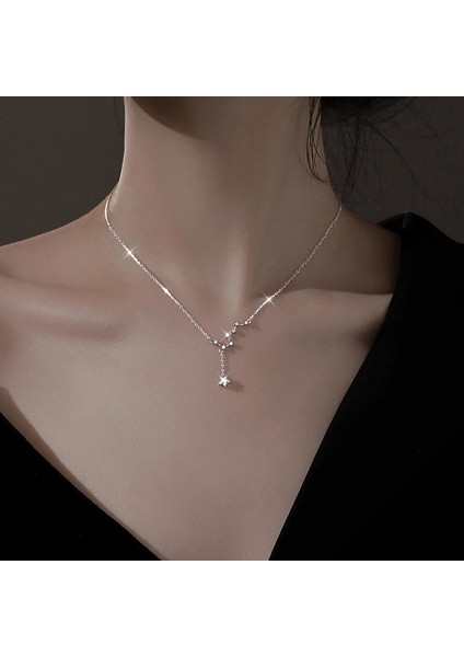 S925 Gümüş Köprücük Kemiği Zinciri Big Dipper Kolye (Yurt Dışından) fiyatları