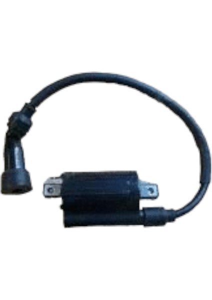 Supershadow 250 Ateşleme Bobini MOTO11