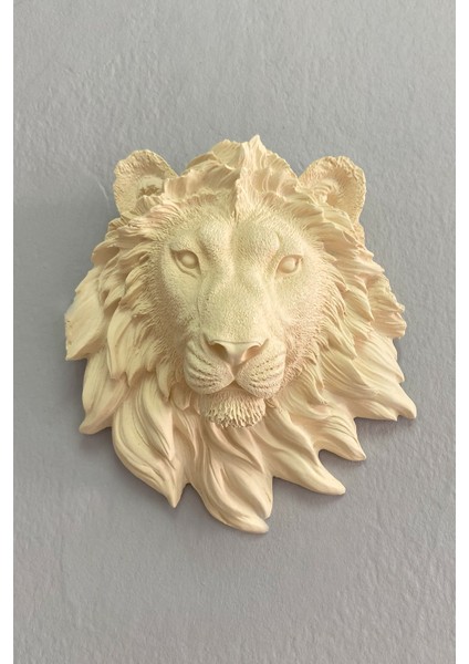 Aslan Duvar Süsü