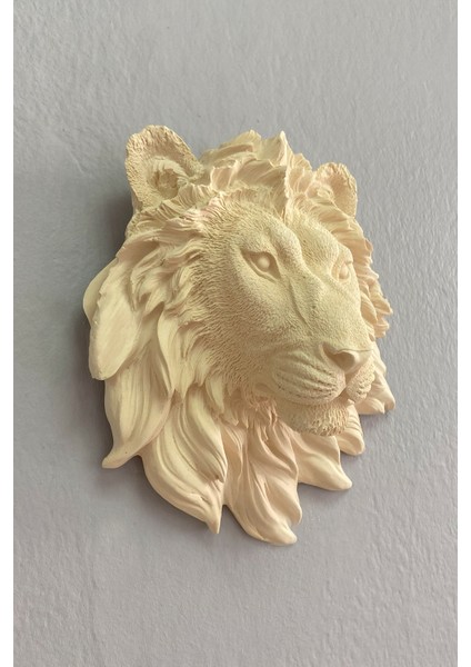 Aslan Duvar Süsü
