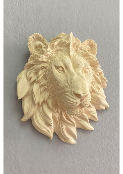 Aslan Duvar Süsü