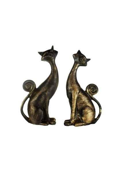 Ikili Kedi Biblo C 0162