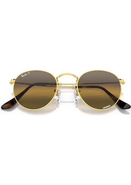 RB3447 001/G5 50 Polarize Unisex Güneş Gözlüğü