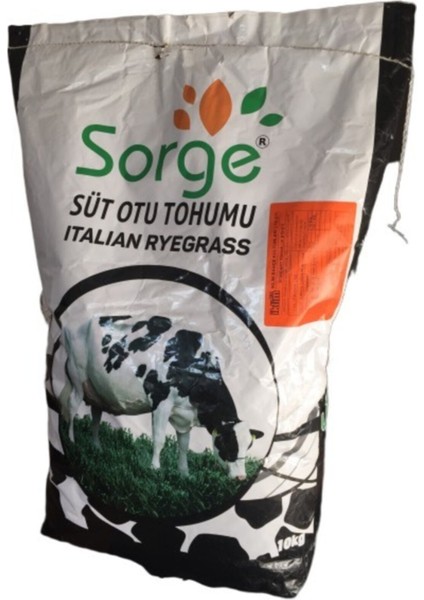 Ryegrass Otu Tohumu Süt Otu Tohum 500 gr