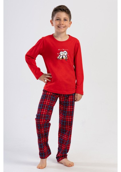 Pamuklu Erkek Çocuk Uzun Kol Pijama Takım(7-8/13-14) , 403210