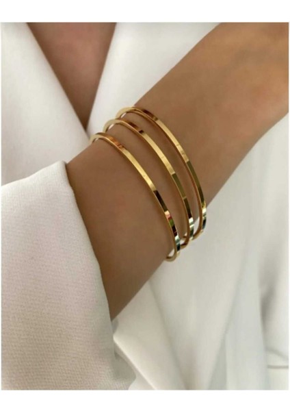 Tekno Trust Altın Yüksek Kalite 3’lü Büyük Boy Çelik Ajda Model Bilezik Zirkon Taş Paslanmaz Çelik fiyatları