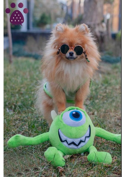 Küçük Irk Köpek Tişört Mike fiyatları