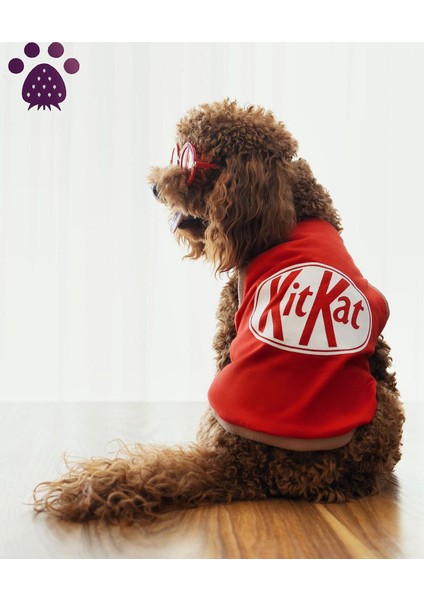 Küçük Irk Köpek Tişört Kitkat