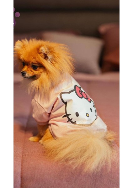 Küçük Irk Köpek Tişört Hello Kity