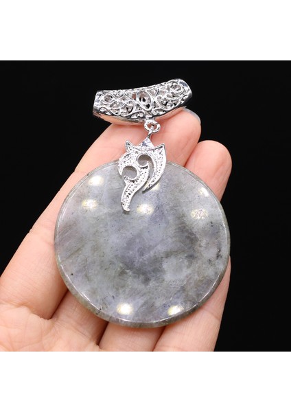 Labradorit Sıcak Satış Takı Kristal Kolye Doğal Taş Dape Labradorit Dalmaçyalı Jasper Charms Takı Yapımı Için Dıy Kolye (Yurt Dışından)