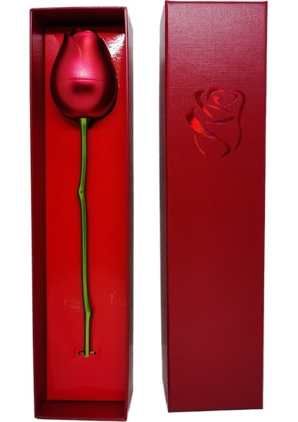 YH2851D Gül Tutucu Ebedi Aşk Kolye Seti Romantik Eşkenar Dörtgen Zirkon Kolye Ölümsüz Sevgililer Günü Hediyeleri ile (Yurt Dışından) indirimleri