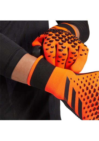 Prof. Kaleci Eldiveni HN3349