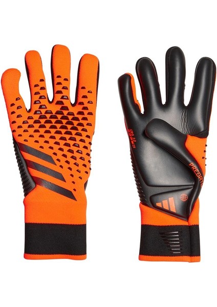 Prof. Kaleci Eldiveni HN3349