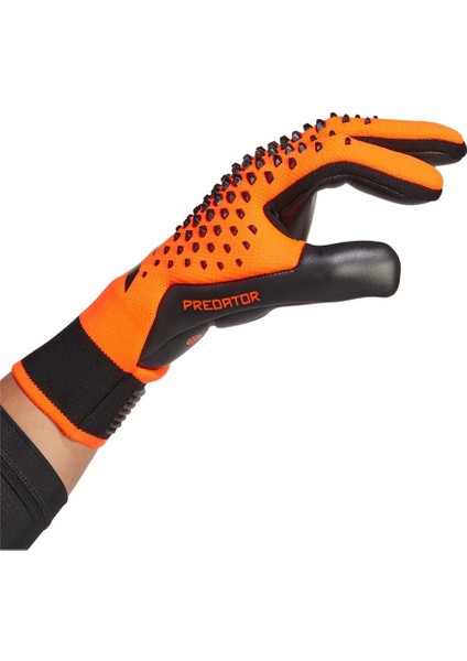 Prof. Kaleci Eldiveni HN3349