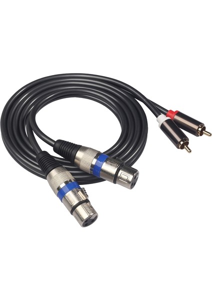 Ateş Sınıfı Ses Kablosu 2 Rca Dişi Çift 2 Xlr 3-Pin Interkom Amplifikatör Hibrit Fiş Av Kablosu Çift Xlr - Çift Rca Hattı (Yurt Dışından)