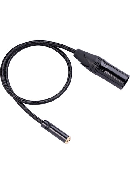 Xlr 3 Pin Erkek Fiş 3,5 mm 1/8 Inç Dişi Stereo Ses Adaptörü Mikrofon Uzatma Kablosu Tel, 1 Feet/0. (Yurt Dışından)