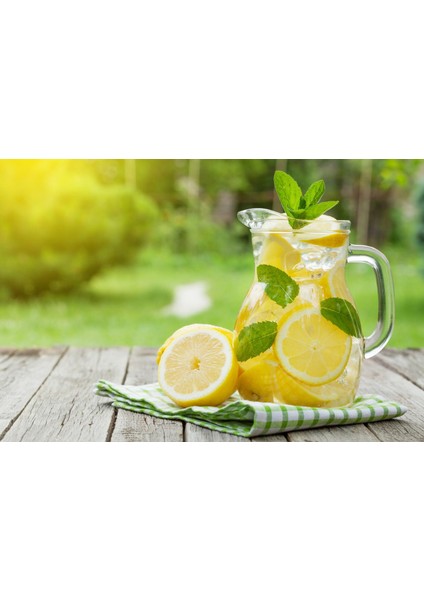 Ev Yapımı Tadında Gerçek Meyve Taneli Toz Limonata 250 gr