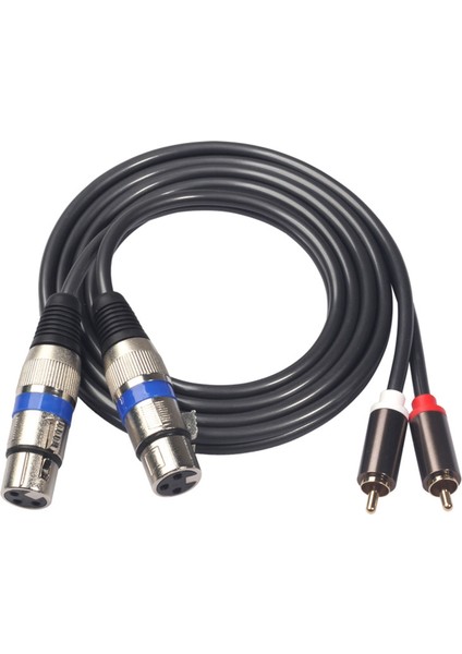 Hifi Ses Kablosu 2 Rca Erkek Xlr 3 Pin Dişi Karıştırma Konsolu Amplifikatör Çift Rca Çift Xlr Korumalı Kablo (Yurt Dışından)