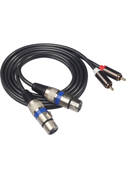 Hifi Ses Kablosu 2 Rca Erkek Xlr 3 Pin Dişi Karıştırma Konsolu Amplifikatör Çift Rca Çift Xlr Korumalı Kablo (Yurt Dışından)