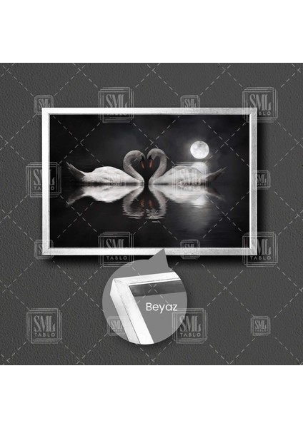 Kuğu Çifti ve Kalp Ay Işığı Alında Aşk Love Zarafet Doğa Manzara Hayvan Çerçeveli Yatay Kanvas Tablo