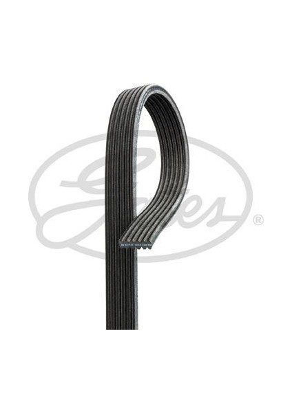 GAT-6PK893 Kanallı Kayış Boxer 2.5-Jumpy 1.6-Solenza-Sc...